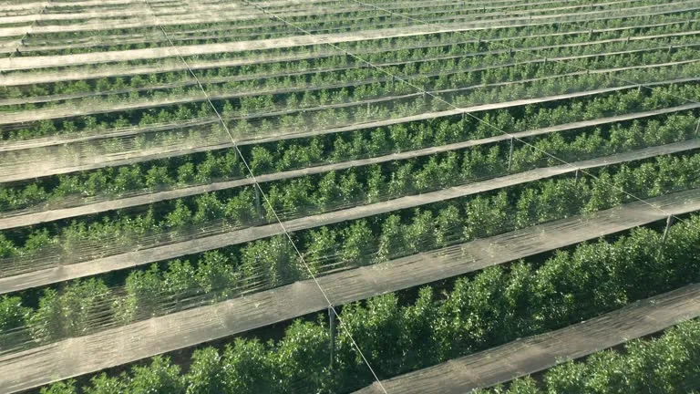 20260210 smart garden shading.png